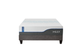 ChiroPro 3.0 Plush